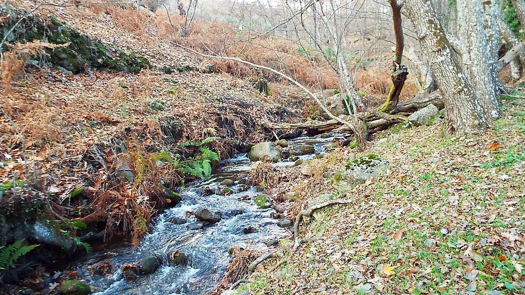 Hotel Rural El Camino Канделеда Екстериор снимка